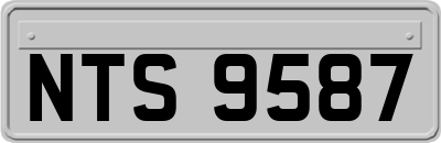 NTS9587