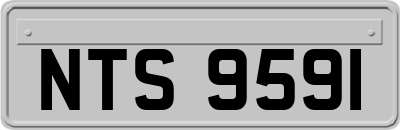 NTS9591
