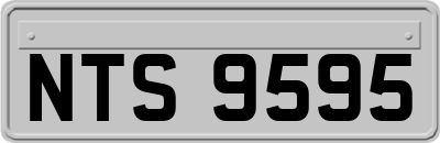 NTS9595