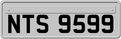 NTS9599