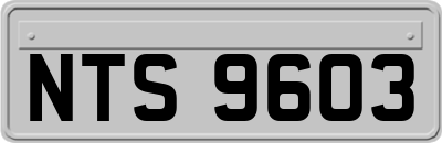 NTS9603