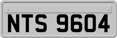 NTS9604