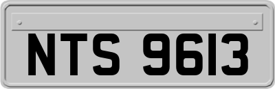 NTS9613