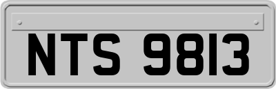 NTS9813