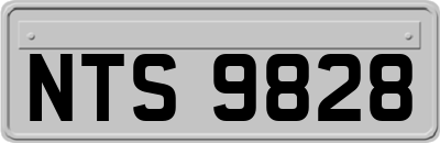 NTS9828