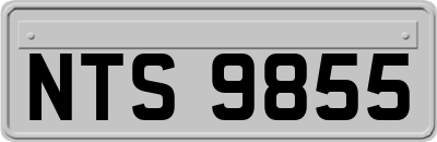 NTS9855