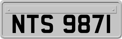 NTS9871