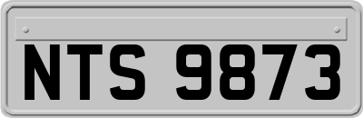 NTS9873