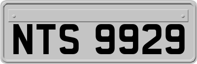 NTS9929