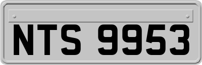 NTS9953