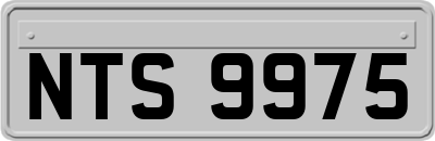 NTS9975