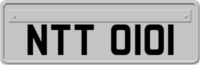 NTT0101