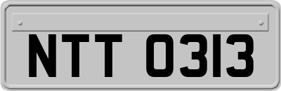 NTT0313