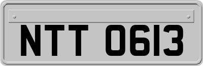 NTT0613