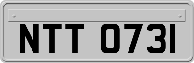 NTT0731