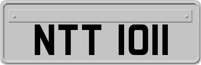 NTT1011
