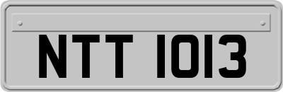 NTT1013