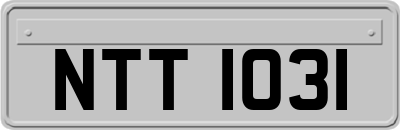 NTT1031