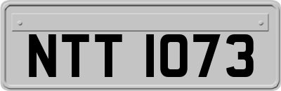 NTT1073