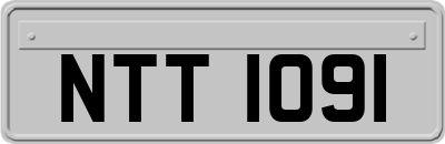 NTT1091