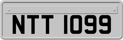 NTT1099