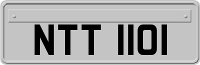 NTT1101
