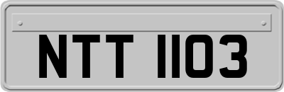 NTT1103