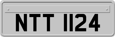 NTT1124