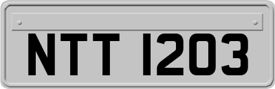 NTT1203