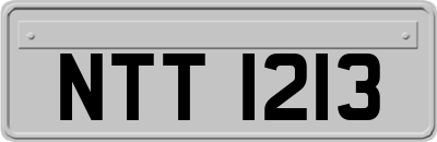 NTT1213