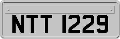 NTT1229