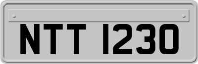 NTT1230