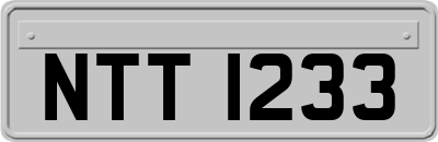 NTT1233