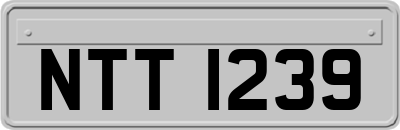 NTT1239
