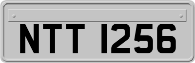 NTT1256