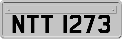 NTT1273