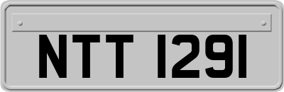 NTT1291