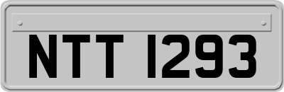 NTT1293