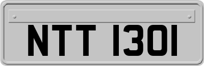 NTT1301