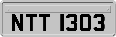 NTT1303