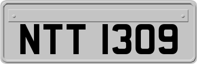 NTT1309