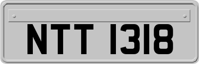 NTT1318