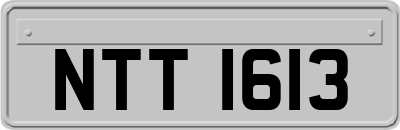 NTT1613
