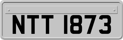 NTT1873