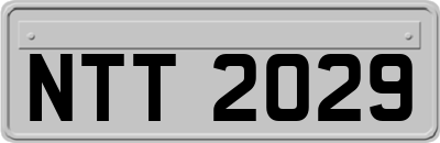 NTT2029