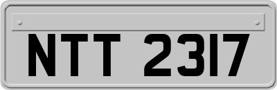 NTT2317
