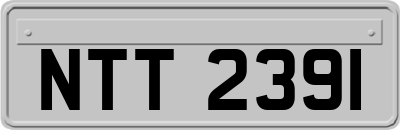 NTT2391