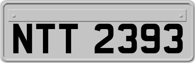 NTT2393