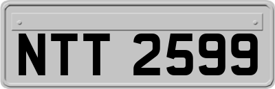 NTT2599