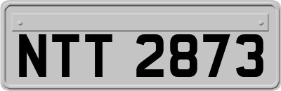 NTT2873